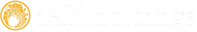 株式会社iAXホールディングス